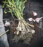 young garlic on a brown wooden board