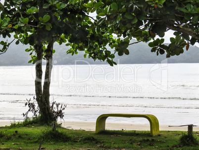 View of the beach with bench and tree in the foreground.