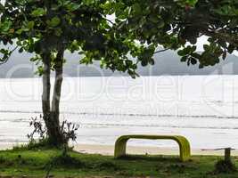 View of the beach with bench and tree in the foreground.