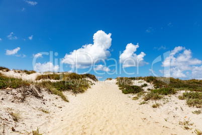 Dune beach at Costa Nova in Portugal