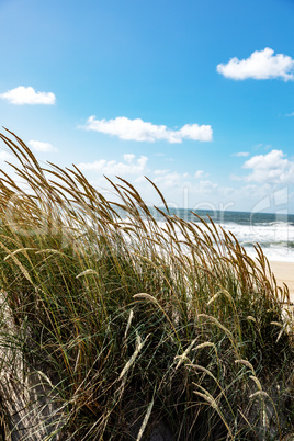 Dune beach at Costa Nova in Portugal