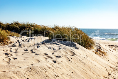Sandy beach with dunes