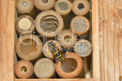 Insektenhotel im Garten