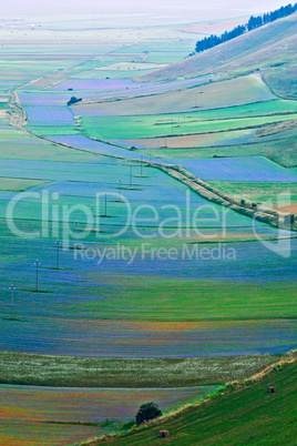 Plain of Castelluccio seen from above
