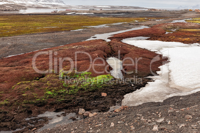 Colored land in Ny Alesund, Svalbard islands