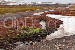 Colored land in Ny Alesund, Svalbard islands