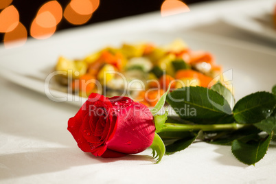 Red rose for a romantic dinner