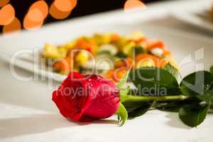 Red rose for a romantic dinner