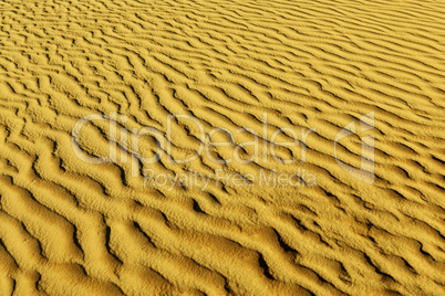 Sands of the desert.Sand dunes at sunset in the Sahara Desert