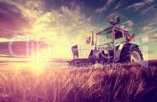 Farm scenery and sunset wheat fields