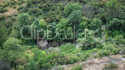 Arbuzinka Rocks in the Actovo canyon, Ukraine