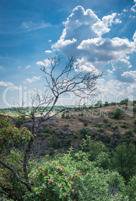 Arbuzinka Rocks in the Actovo canyon, Ukraine