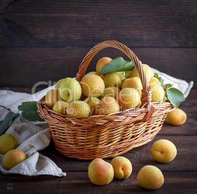 Ripe apricots in a brown wicker basket