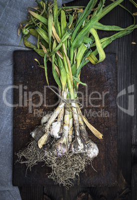 bunch of young garlic on a brown wooden board