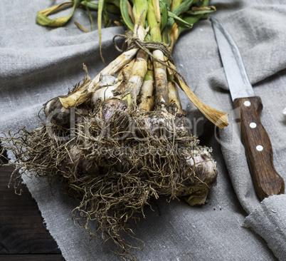 fresh young garlic tied in a bundle on a gray linen napkin