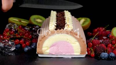 Chocolate vanilla strawberry ice cream with fruits