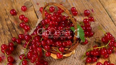 Red currant berries in basket rotating on wooden table