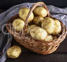 Young potatoes in a brown wicker basket