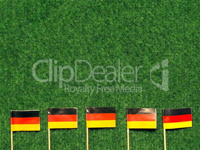 German flags on green grass background