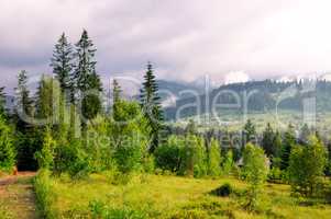 Slopes of mountains, coniferous trees and clouds in the evening