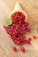 Red currant fruits in ice cream cone