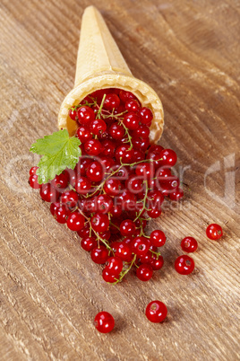 Red currant fruits in ice cream cone