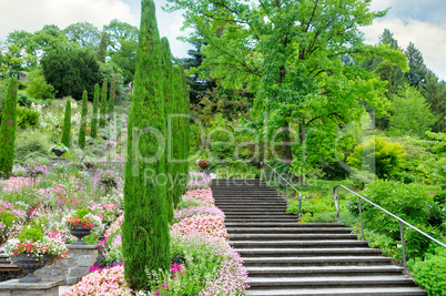 Flower garden and other plants, a staircase and a waterfall on t