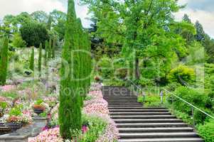 Flower garden and other plants, a staircase and a waterfall on t