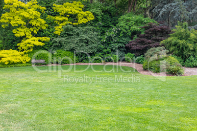 Beautiful Green Garden Setting With Wood Bench