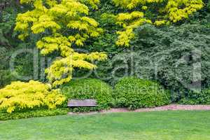 Beautiful Green Garden Setting With Wood Bench