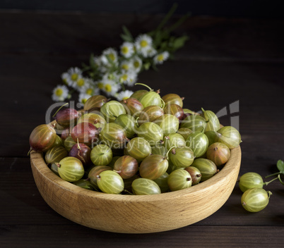 ripe berries of green gooseberry in a wooden bowl