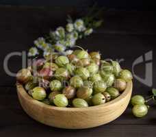 ripe berries of green gooseberry in a wooden bowl