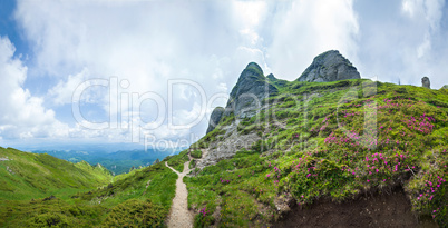 Panoramic view of Mount Ciucas on summer with wild rhododendron