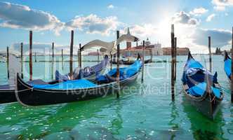 Seagull over gondolas