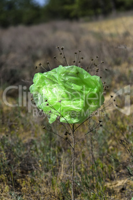 green plastic bag hanging on the flower stem in the forest