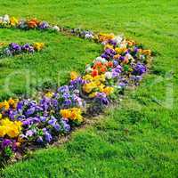 Summer flower bed and green lawn.