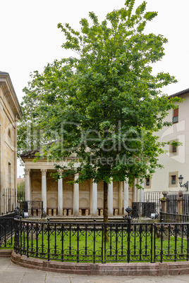 Tree of Gernika