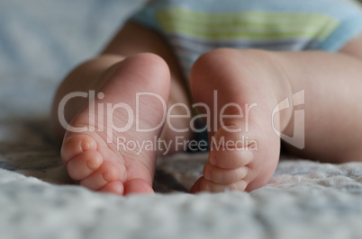 Closeup of newborn feet lying on the bed with blue and white blanket