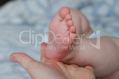 Baby foot on the mother's hand