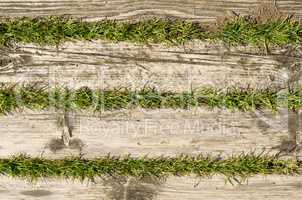 Wood and grass texture background