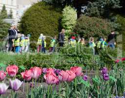 Pink tulips against group of kids with teachers in the botanical