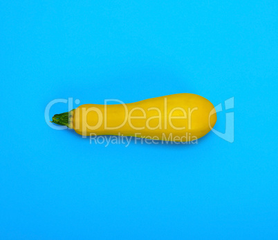raw yellow squash on a blue background