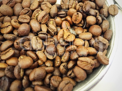 Roasted Coffee beans