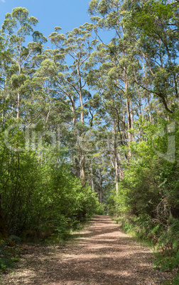 Porongurup National Park, Western Australia