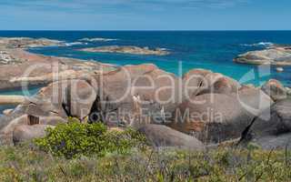 William Bay NP, Western Australia