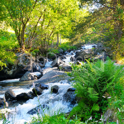 Landscape with mountains, forest and a river in front.