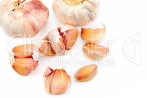 Garlic isolated on white background.Free space for text.
