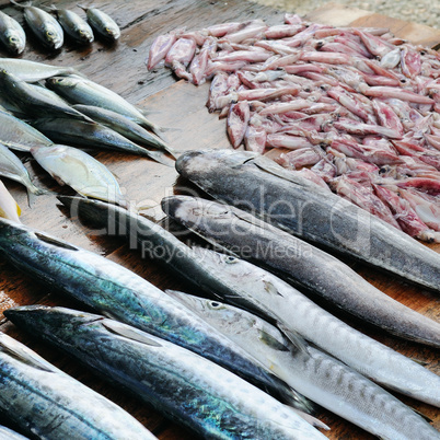 Fresh fish and squid on a wooden table. Sri Lanka.