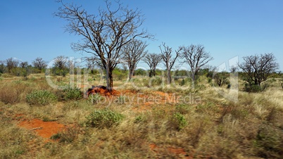 natural green landscape in kenya