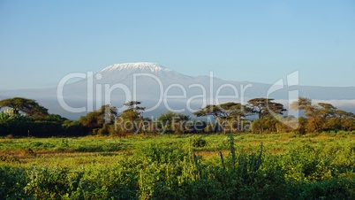 kilimanjaro and kenyan landscape